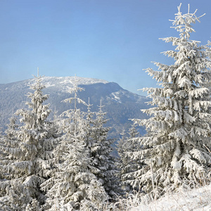 冬天在山坡上的山景。