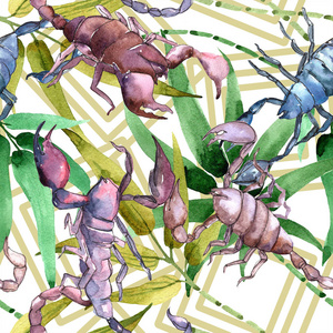 异国情调的蝎子野生昆虫在水彩风格隔绝。无缝的背景模式