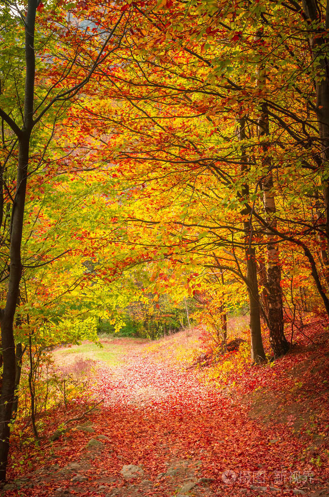 秋天的自然景象图片