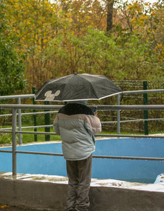 一个带电话的小女孩站在雨中，带着雨伞在公园里。