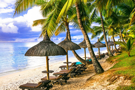 热带度假。 美丽的海滩风景与棕榈和海滩毛里求斯是充满活力的。
