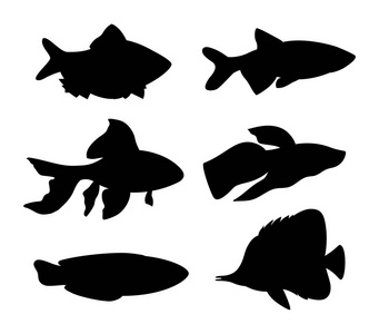 水族馆鱼剪影设置向量例证图片