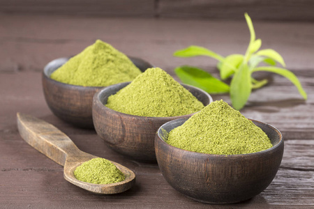 甜叶菊植物粉末中的天然甜味剂-甜叶菊.照片