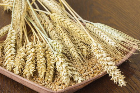 棕色背景下的小麦和麦粒穗。顶部视图