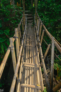 印度尼西亚巴厘岛热带雨林中部的老竹桥