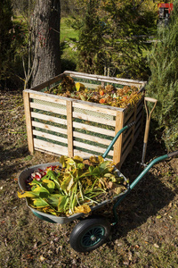 秋季花园堆肥箱图像