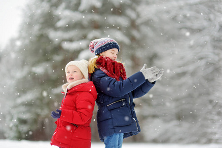 两个可爱的小女孩在美丽的冬季公园里一起玩。 美丽的姐妹在雪地里玩耍。 孩子们的冬季活动。