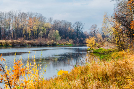 草地河水伏尔加河河漫滩附近的草地在秋季中部,该地区典型的风景是