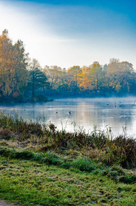 湖的四周是秋树，倒映在湖面上，清幽的早晨