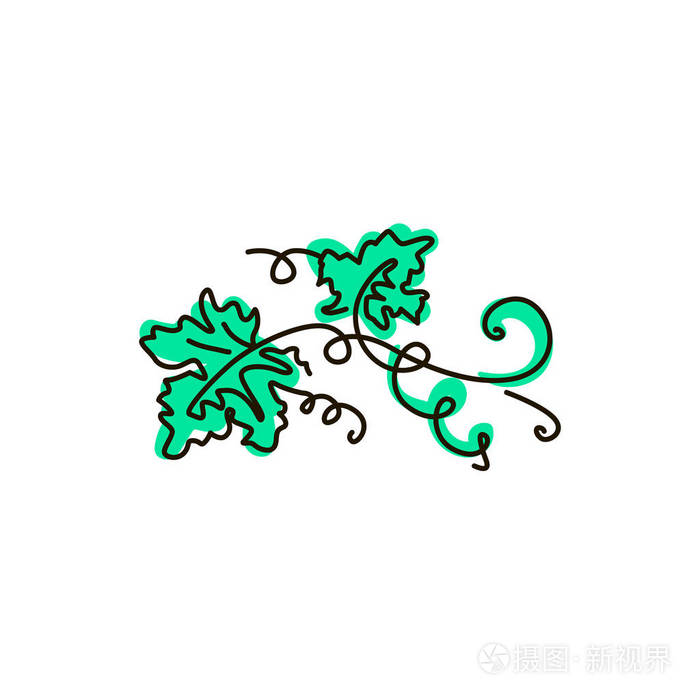 葡萄叶.一条线彩色绘图.隔离在白色背景上