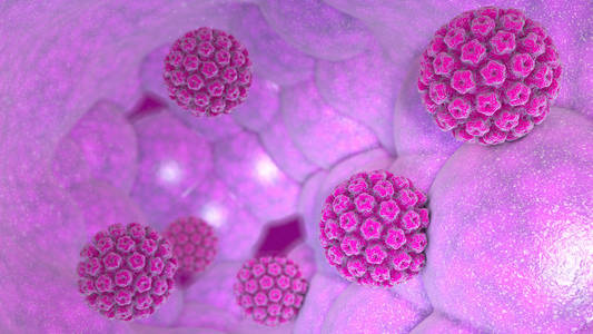 人类瘤病毒感染。 病毒。 HPV是全球最常见的性传播感染。 HPV感染是由人瘤病毒引起的，这是来自瘤病毒家族3D的D