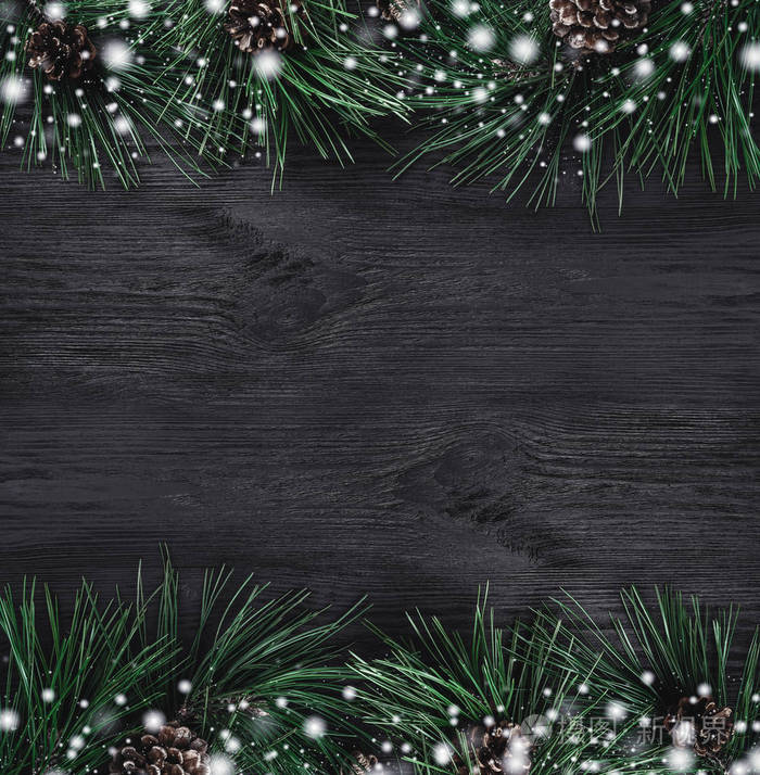 圣诞卡。 黑色木材背景与松树枝和松果从顶部视图。 圣诞广场卡。 雪效应。