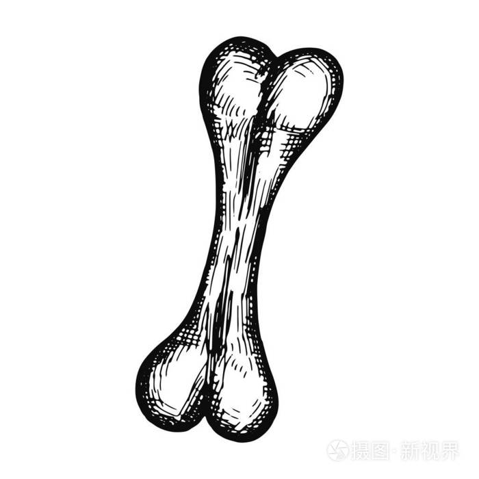 骨头图案物体孤立的素描