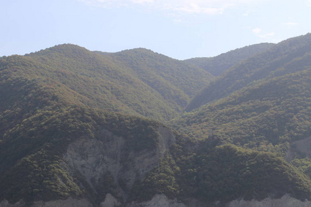 有绿色植物的高山