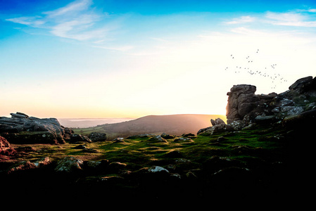 在清晨的灯光下，一群鸟飞过来，从一个花岗岩的Tor上俯瞰达特莫尔。
