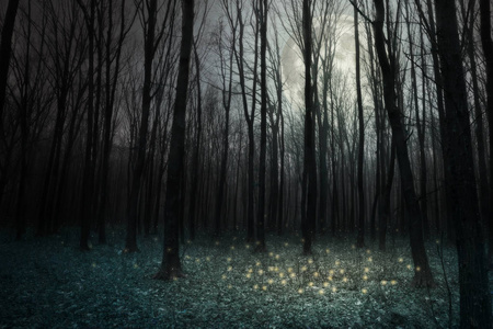 月光在黑暗的秋天森林里。 大自然的背景