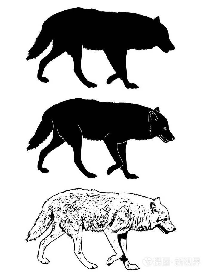 狼轮廓和素描插图矢量