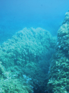 海礁水下背景单元隔离