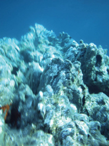 海礁水下背景单元隔离