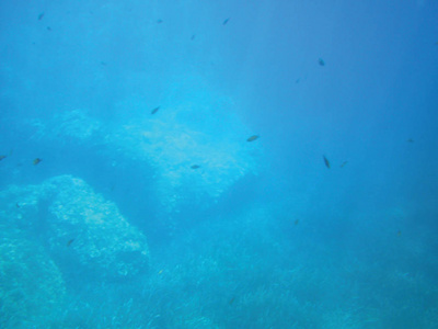 海礁水下背景单元隔离