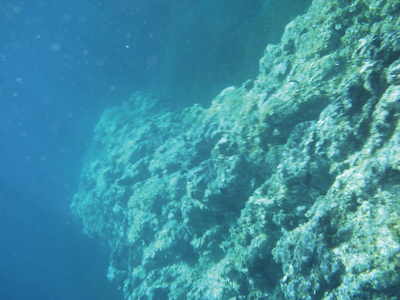 海礁水下背景单元隔离