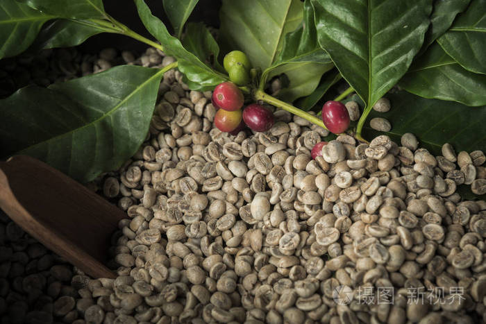 在乡村背景上有勺子的生咖啡豆