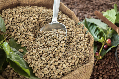 咖啡生豆图片
