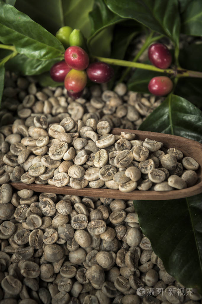 在乡村背景上有勺子的生咖啡豆