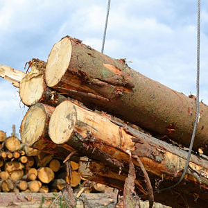 工业景观中的准备和木材仓储。