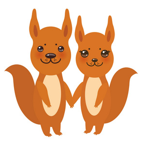 蓬松的红松鼠一套有趣的红松鼠与蓬松的尾巴隔离在白色背景.