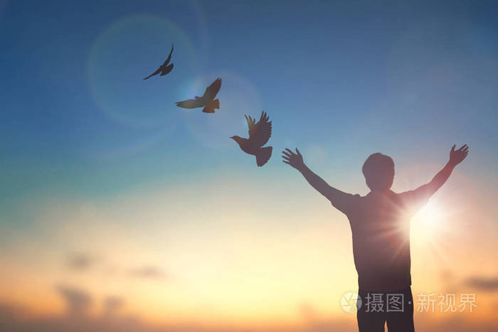 现在,一个人自信在巅峰,张开双臂,享受自然,阳光,概念,世界,智慧