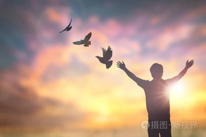 现在,一个人自信在巅峰,张开双臂,享受自然,阳光,概念,世界,智慧