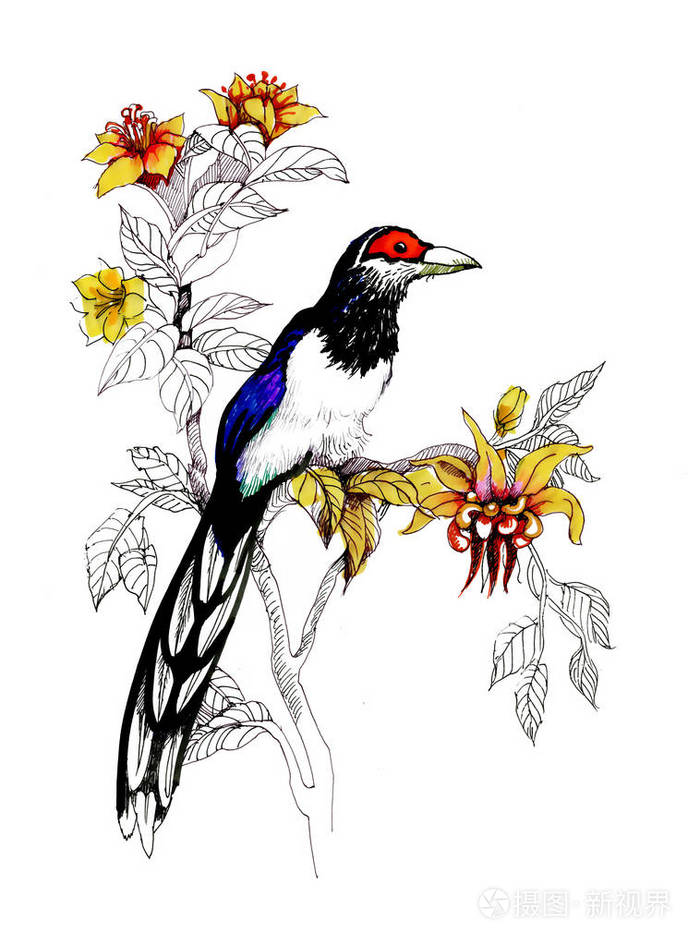 水彩画鸟在树枝上,用花孤立的手绘插图
