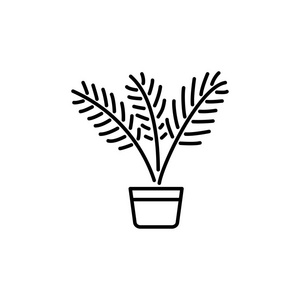  white vector illustration of palm tree with leaves in pot. Line