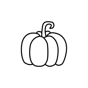  white vector illustration of pumpkin vegetable. Line icon of fr