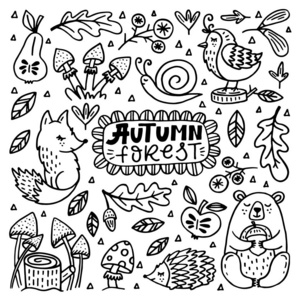 一套可爱的秋季卡通人物植物和水果。 秋季。 森林动物。 收集涂鸦轮廓元素，供着色书儿童设计。