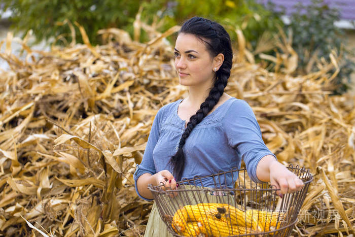 一个有玉米概念的性感女孩的复古肖像,乡村收割