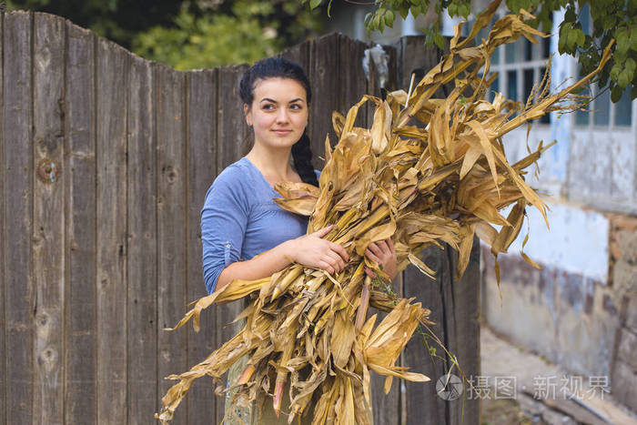 一个有玉米概念的性感女孩的复古肖像,乡村收割