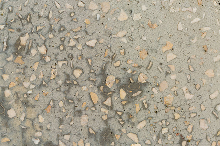 石棉板质地混凝土覆盖地衣和苔藓