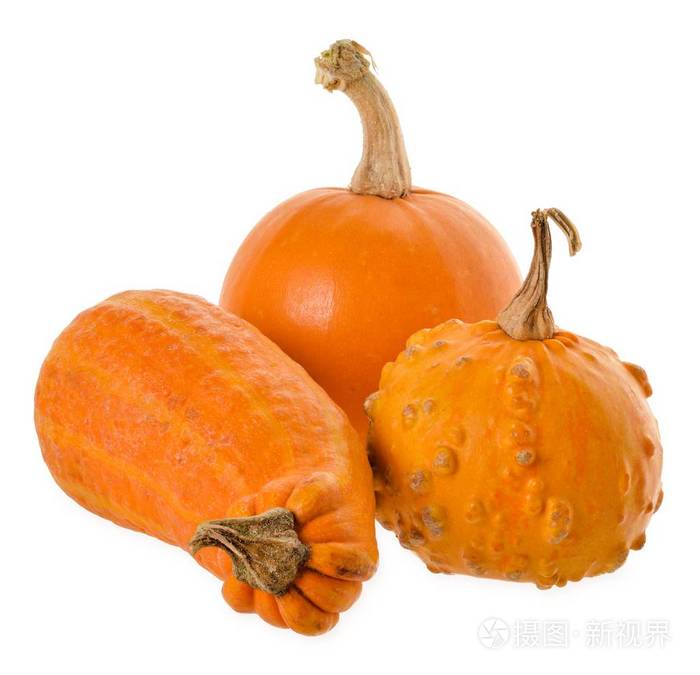 各种五颜六色的观赏葫芦和南瓜. 万圣节假期的迷你葫芦.