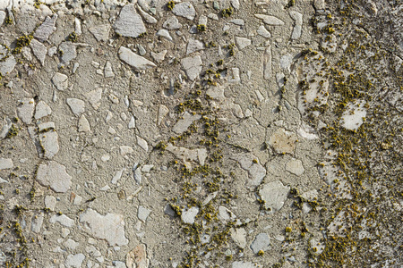 石棉板质地混凝土覆盖地衣和苔藓
