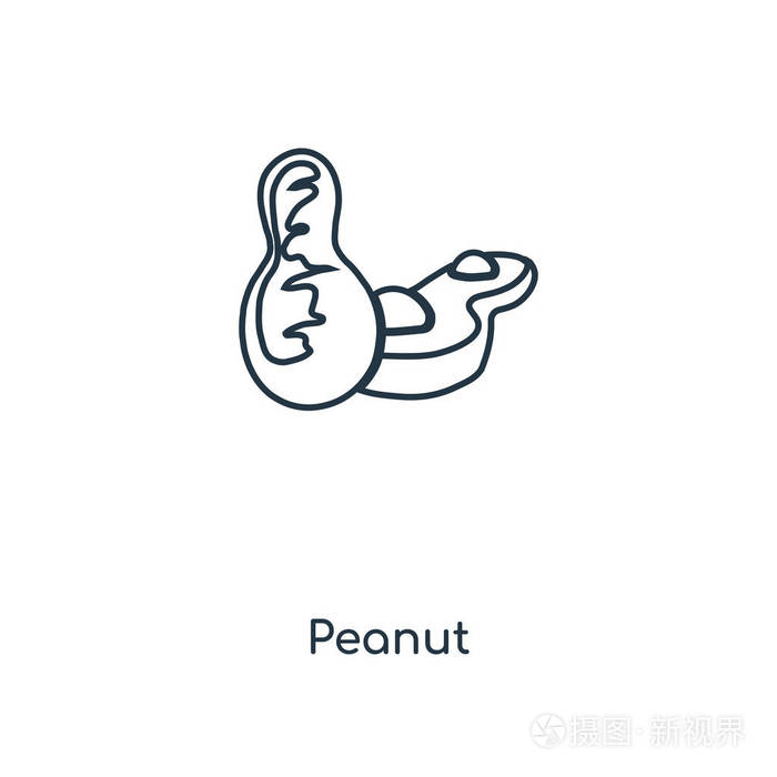 花生图标在时尚的设计风格.花生图标隔离在白色背景上.