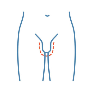 扩大.为男性做整形手术.男性生殖器官再生.孤立矢量图照片