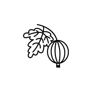  white vector illustration of organic gooseberry with leaf. Line