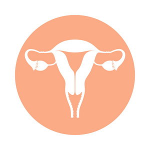 图标女性生殖器官. 白色背景上分离的玫瑰圆子宫征.