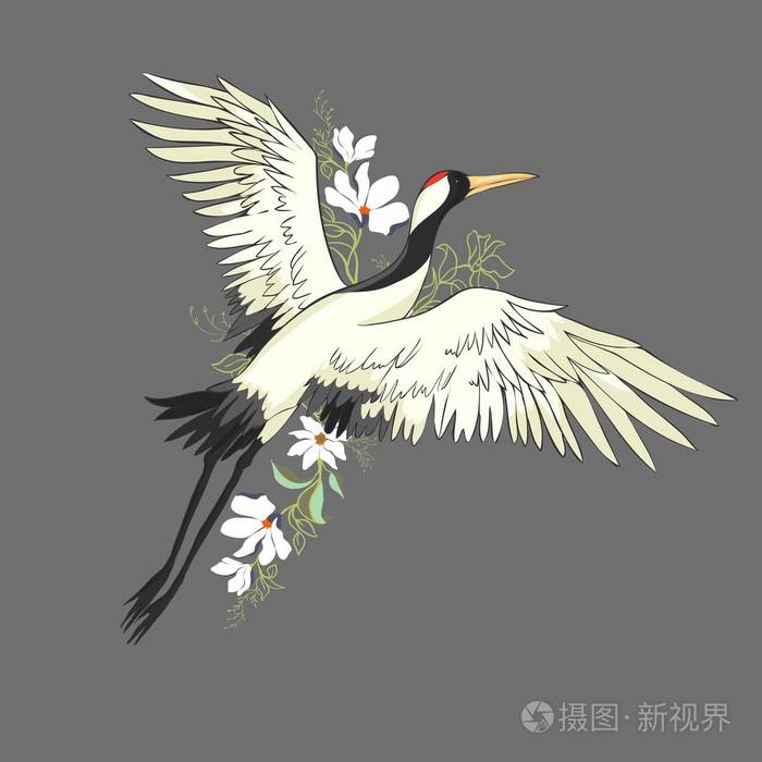 白鹳. 孤立的物体