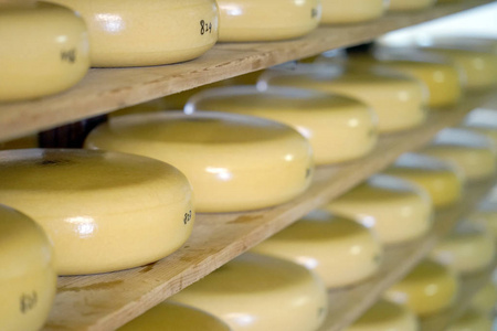 私人农场木制架子上的奶酪头。 货架上有很多黄色的奶酪头。 把黄色的圆形奶酪放在木架上。