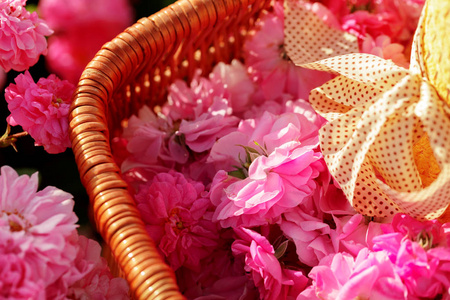 篮子里有粉红色的油玫瑰花。