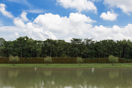 景观公园和池塘，树在晴朗的天空日为自然背景