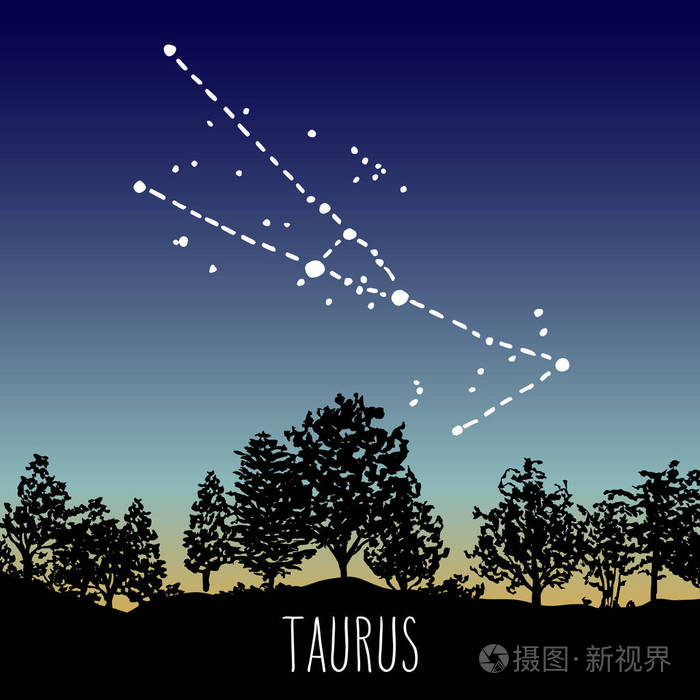 金牛座手工绘制的生肖星座在黄昏的天空上的落叶森林.